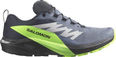 SALOMON SHOES SENSE RIDE 5 GTX Flint/B