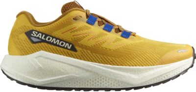 SALOMON SHOES AERO BLAZE 3 GRVL Spicym/Vanila/Na SPICY MUSTARD/VANILLA ICE/NAUTICAL