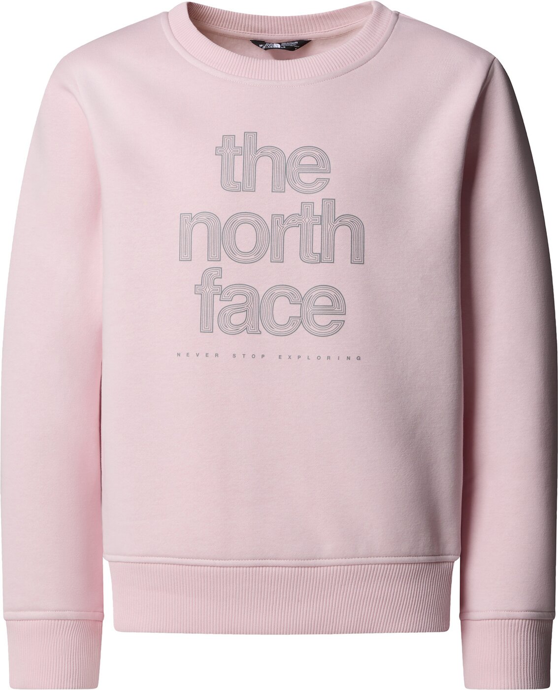 THE NORTH FACE G REFLECTIVE LOGO RELAXED CREW PALE BLOSSOM