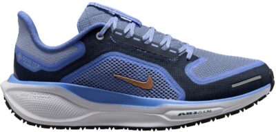 NIKE W AIR ZM PEGASUS 41 GTX COBALT BLISS/MTLC RED BRONZE-A